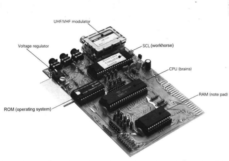 zx-81